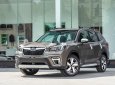 Subaru Forester   2019 - Bán xe Subaru Forester năm sản xuất 2019, màu nâu, nhập khẩu