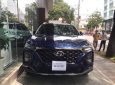 Hyundai Santa Fe   2019 - Bán Hyundai Santa Fe sản xuất năm 2019, màu xanh lam, nhập khẩu 