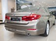 BMW 5 Series   2019 - Cần bán xe BMW 530i đời 2019, màu vàng, nhập khẩu