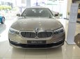 BMW 5 Series  "THE 5" nhập từ Đức, Bùng nổ ưu đãi cuối nămmm 2019 - Cần bán BMW 5 Series năm sản xuất 2019, xe nhập