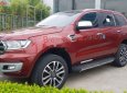Ford Everest   2019 - Bán Ford Everest năm sản xuất 2019, màu đỏ, nhập khẩu