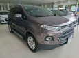 Ford EcoSport   2017 - Cần bán Ford EcoSport sản xuất 2017, màu nâu, ít sử dụng