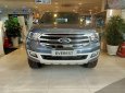 Ford Everest   2019 - Bán xe Ford Everest 2019, màu xanh lam, nhập khẩu