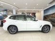 BMW X3   2019 - Bán BMW X3 đời 2019, nhập khẩu, giá tốt