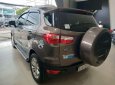 Ford EcoSport   2017 - Cần bán Ford EcoSport sản xuất 2017, màu nâu, ít sử dụng