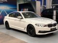 BMW 5 Series   2019 - Bán BMW 520i đời 2019, màu trắng, nhập khẩu