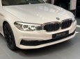 BMW 5 Series   2019 - Bán BMW 520i đời 2019, màu trắng, nhập khẩu