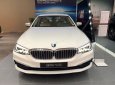 BMW 5 Series   2019 - Bán BMW 520i đời 2019, màu trắng, nhập khẩu