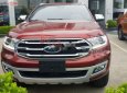 Ford Everest   2019 - Bán Ford Everest năm sản xuất 2019, màu đỏ, nhập khẩu