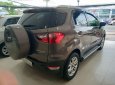 Ford EcoSport   2017 - Cần bán Ford EcoSport sản xuất 2017, màu nâu, ít sử dụng