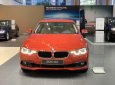 BMW 3 Series   2019 - Bán xe BMW 320i 2019, xe nhập, giá tốt