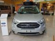 Ford EcoSport 2019 - Bán xe Ford EcoSport đời 2019, ưu đãi hấp dẫn