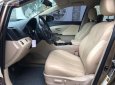 Toyota Venza   2010 - Bán Toyota Venza năm 2010, màu vàng cát, nhập khẩu