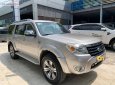 Ford Everest   2009 - Cần bán gấp xe cũ Ford Everest đời 2009, màu vàng