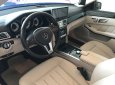 Mercedes-Benz E250 AMG 2013 - Bán ô tô Mercedes AMG đời 2013, màu đen