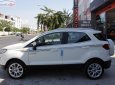 Ford EcoSport 2019 - Cần bán Ford EcoSport Titanium 1.5 AT 2019, giá hấp dẫn