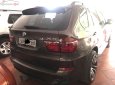 BMW X5   2010 - Bán BMW X5 năm 2010, màu nâu, nhập khẩu nguyên chiếc