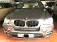 BMW X5   2010 - Bán BMW X5 năm 2010, màu nâu, nhập khẩu nguyên chiếc