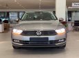 Volkswagen Passat 2017 - Xin giới thiệu, Passat Bluemotion 2017 nhập khẩu mới nguyên, rớt đời giá tốt