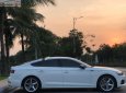 Audi A5 2017 - Xe Audi A5 năm sản xuất 2017, màu trắng, nhập khẩu chính hãng