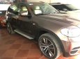 BMW X5   2010 - Bán BMW X5 năm 2010, màu nâu, nhập khẩu nguyên chiếc