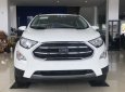 Ford EcoSport 2018 - Bán ô tô Ford EcoSport sản xuất 2018, ưu đãi hấp dẫn