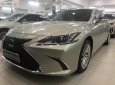 Lexus ES 250 2019 - Bán ô tô Lexus ES 250 năm 2019, màu vàng, nhập khẩu