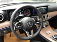 Mercedes-Benz E class 2019 - Cần bán xe Mercedes E200 2019, màu đen