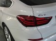 BMW 5 Series 2016 - Cần bán BMW 5 Series đời 2016, màu trắng, nhập khẩu chính hãng