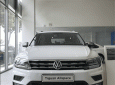 Volkswagen Tiguan 2019 - 600 triệu mang xe Đức Volkswagen Tiguan AllSpace nhập khẩu về nhà, tháng 11 giảm ngay 80 triệu và nhiều quà tặng