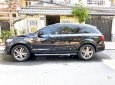 Audi Q7 2010 - Bán Audi Q7 đời 2011, màu đen, nhập khẩu