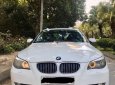 BMW 5 Series 2009 - Bán BMW 5 Series năm 2009, màu trắng, nhập khẩu chính hãng