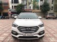 Hyundai Santa Fe 2017 - Bán xe Hyundai Santa Fe đời 2017, màu trắng xe nguyên bản