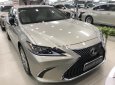 Lexus ES 250 2019 - Bán ô tô Lexus ES 250 năm 2019, màu vàng, nhập khẩu