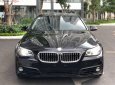 BMW 5 Series 520i 2015 - Cần bán xe BMW 5 Series 520i đời 2015, màu xanh lam, nhập khẩu nguyên chiếc