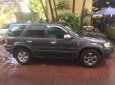 Ford Escape   2002 - Bán xe Ford Escape 3.0 V6 2002, màu xám giá cạnh tranh