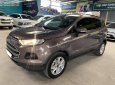 Ford EcoSport   2017 - Bán Ford EcoSport Trend 1.5L MT sản xuất 2017, màu nâu, số sàn  