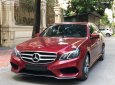 Mercedes-Benz E class 2015 - Bán xe Mercedes E 250 AMG 2015, màu đỏ chính chủ