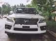 Lexus LX 2013 - Bán Lexus LX năm sản xuất 2013, màu trắng, xe nhập chính hãng