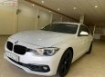 BMW 3 Series 2016 - Cần bán BMW 3 Series 320i đời 2016, màu trắng, xe nhập chính hãng