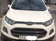 Ford EcoSport 2016 - Cần bán gấp Ford EcoSport năm sản xuất 2016, màu trắng, nhập khẩu chính hãng