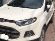 Ford EcoSport 2016 - Cần bán gấp Ford EcoSport năm sản xuất 2016, màu trắng, nhập khẩu chính hãng