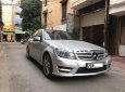 Mercedes-Benz C class   2012 - Cần bán xe Mercedes C300 AMG năm sản xuất 2012, màu bạc