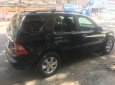 Mercedes-Benz ML Class 2004 - Bán Mercedes ML400 đời 2004, màu đen, nhập khẩu, số tự động