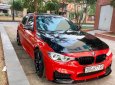 BMW 3 Series 2016 - Bán BMW 3 Series đời 2016, màu đỏ, nhập khẩu nguyên chiếc chính hãng