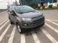 Ford EcoSport 2017 - Cần bán lại xe Ford EcoSport 1.5L AT đời 2017, màu nâu, số tự động