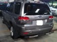 Ford Escape 2009 - Bán xe Ford Escape XLT sản xuất năm 2009, màu xám còn mới