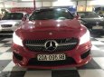 Mercedes-Benz CLA class 250 2014 - Bán xe Mercedes 250 năm 2014, màu đỏ, nhập khẩu nguyên chiếc 