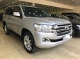 Toyota Land Cruiser VX 2016 - Bán Toyota Land Cruiser VX đời 2016, màu bạc, nhập khẩu