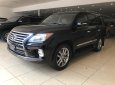 Lexus LX 570 2015 - Cần bán Lexus LX 570 đời 2015, màu đen, nhập khẩu, chính chủ